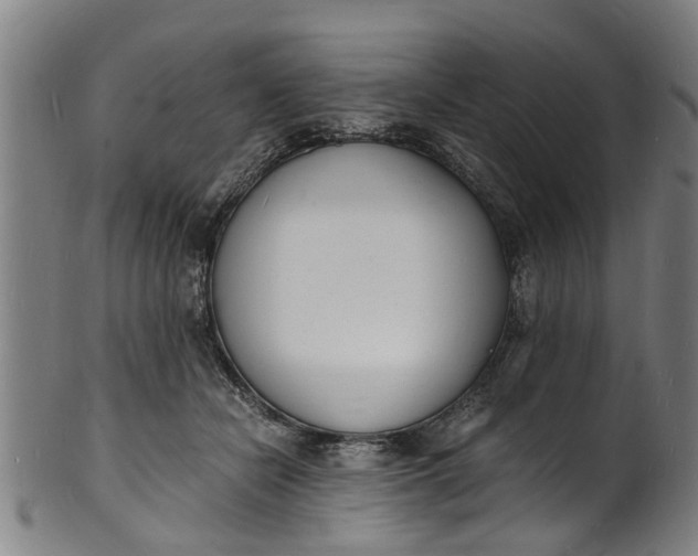 X0000101670462200807241444