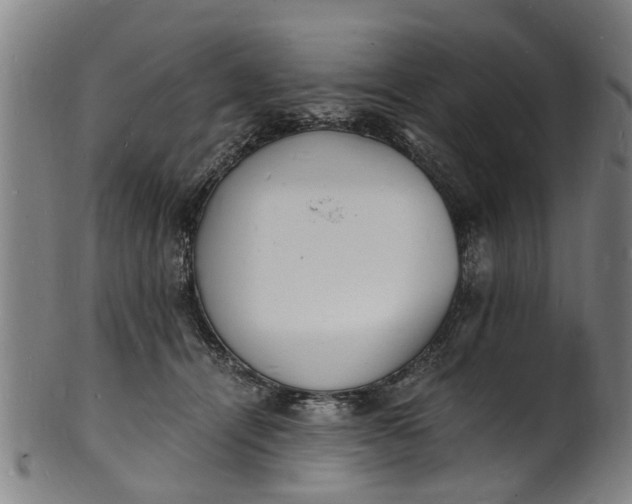 X0000101670464200807241444