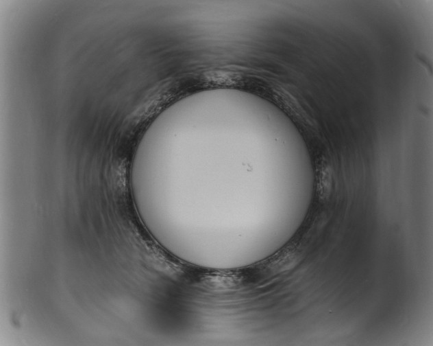 X0000101670466200807241444