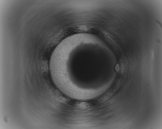 X0000101670467200807241444