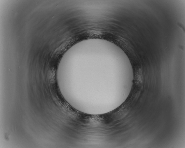 X0000101670468200807241444
