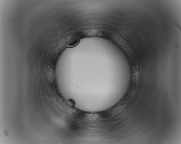 X0000101670469200807241444