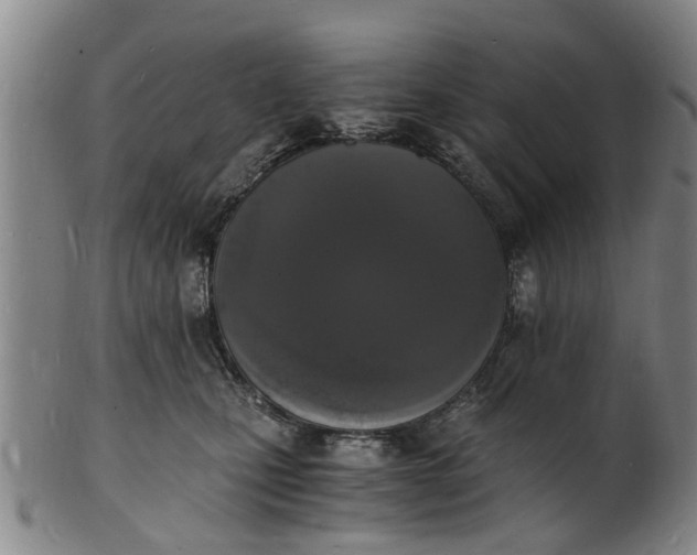 X0000101670471200807241445