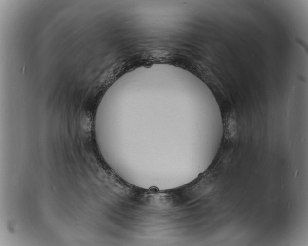 X0000101670472200807241445