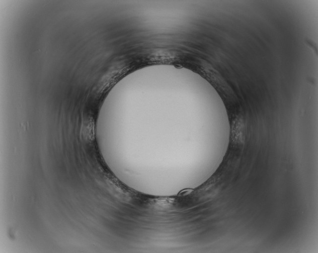 X0000101670474200807241445