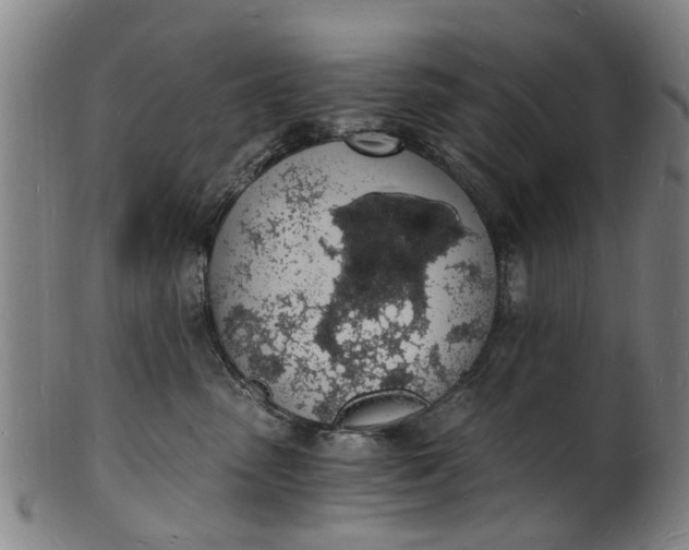 X0000101670475200807241445