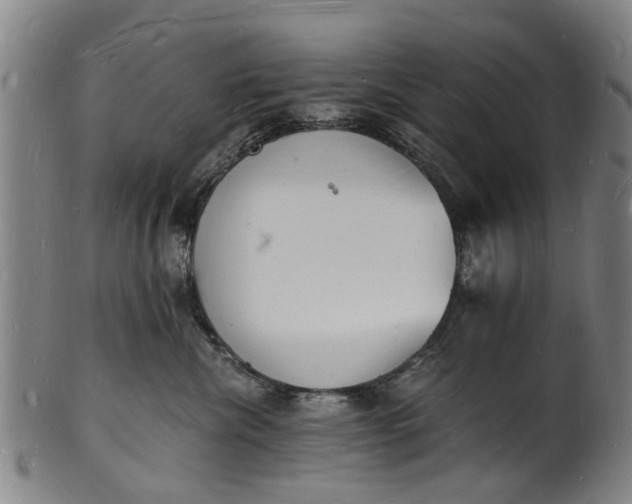 X0000101670476200807241445