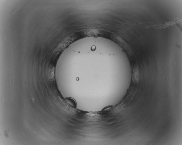 X0000101670477200807241445