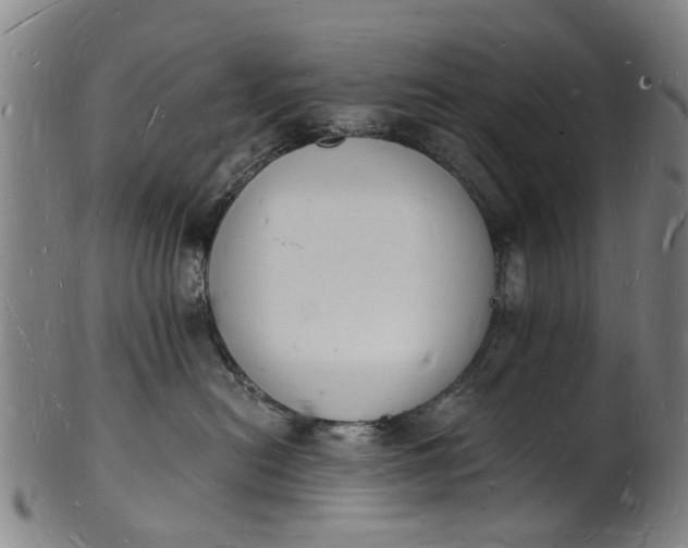 X0000101670478200807241445
