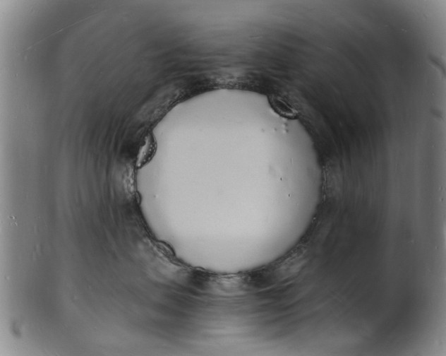 X0000101670479200807241445