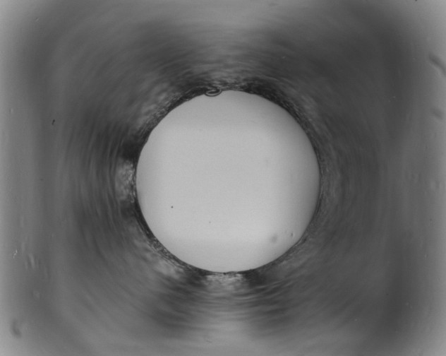 X0000101670480200807241445