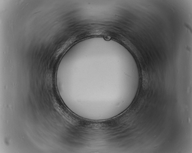 X0000101670482200807241444
