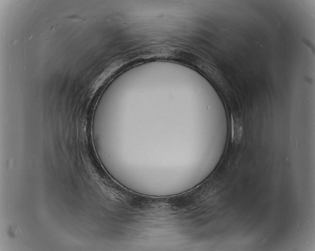 X0000101670483200807241444