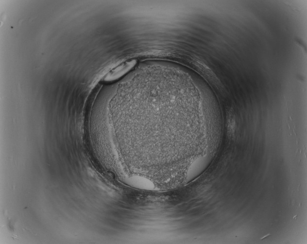X0000101670484200807241444