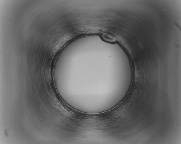 X0000101670485200807241444