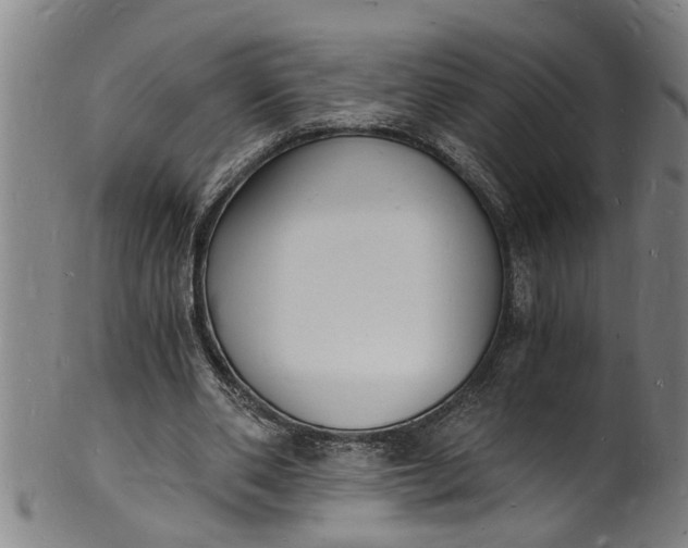 X0000101670486200807241444