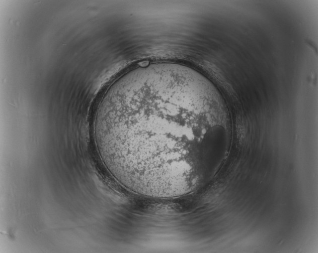X0000101670488200807241444