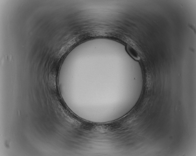 X0000101670489200807241444