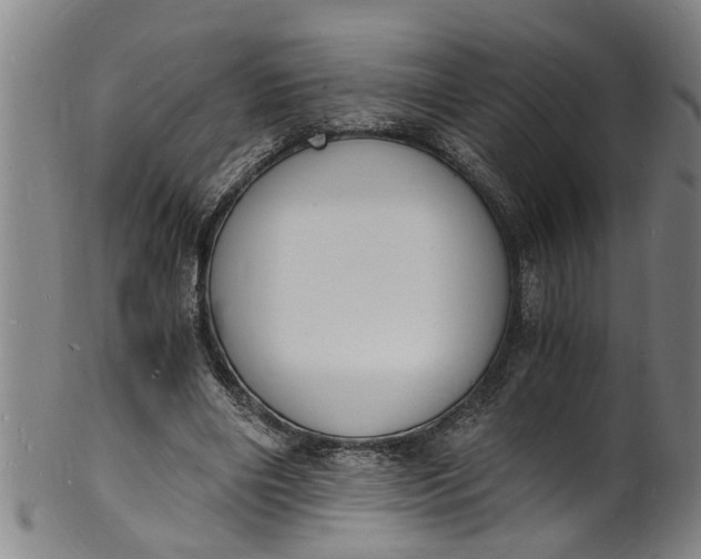 X0000101670490200807241444