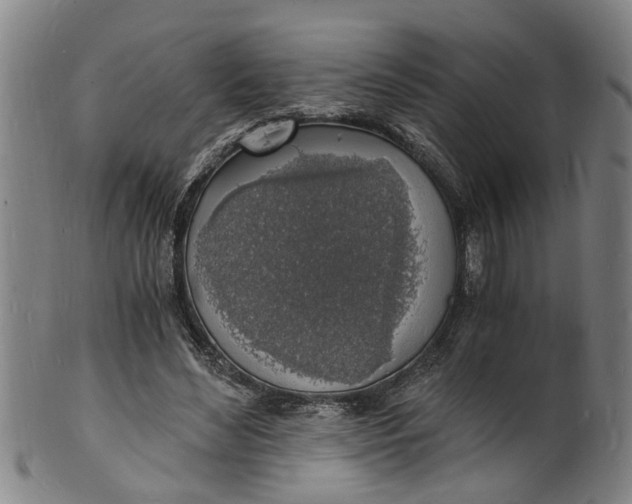 X0000101670492200807241444