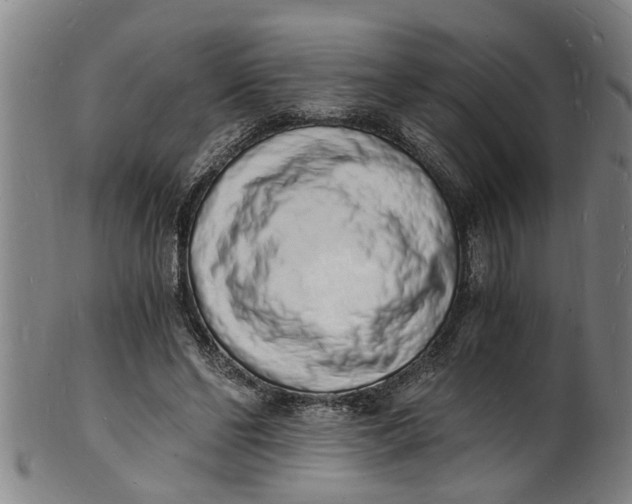 X0000101670494200807241444
