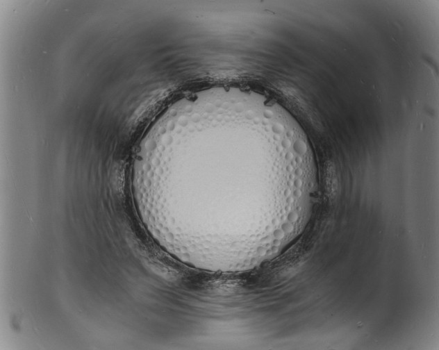 X0000101670495200807241444