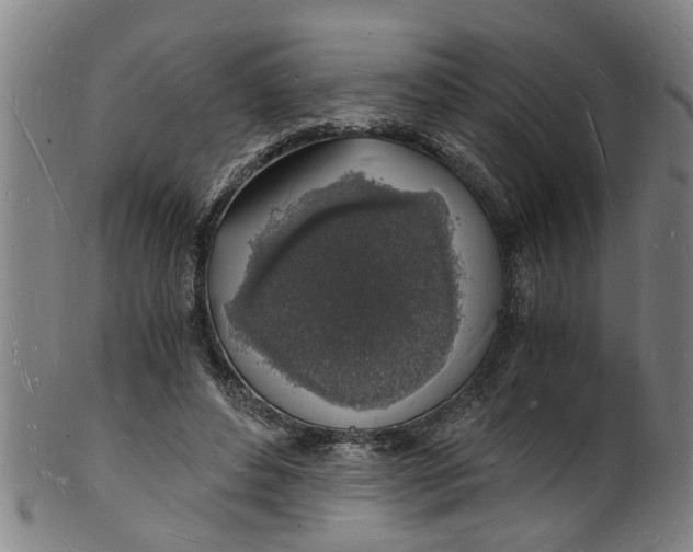 X0000101670496200807241444