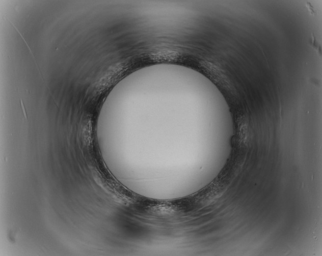 X0000101670498200807241444