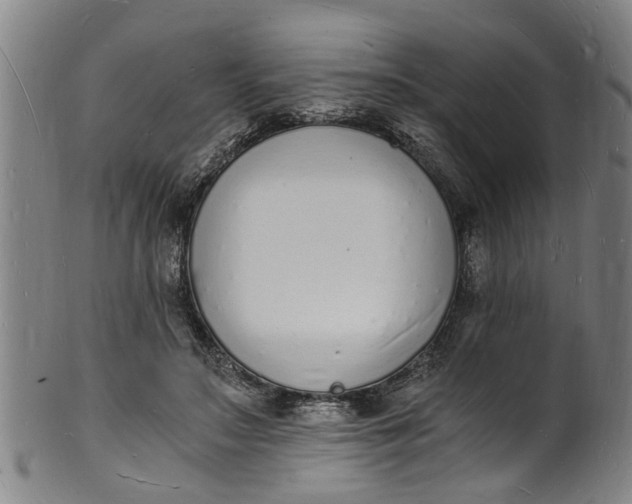 X0000101670499200807241444