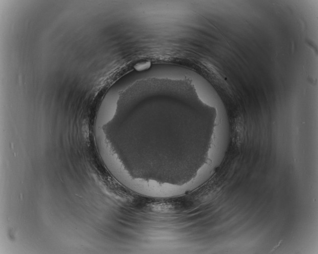 X0000101670500200807241444