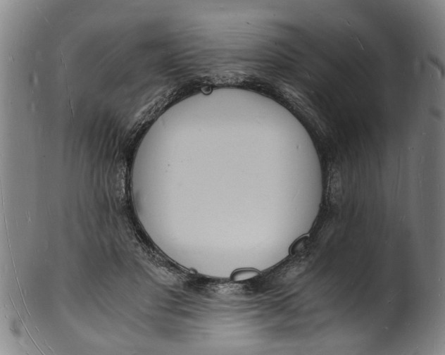 X0000101670501200807241444