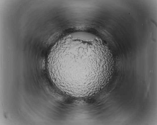 X0000101670502200807241443