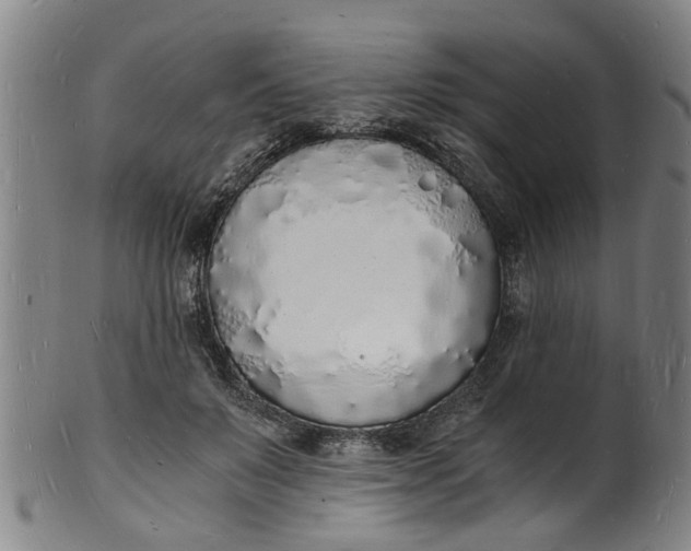 X0000101670503200807241443
