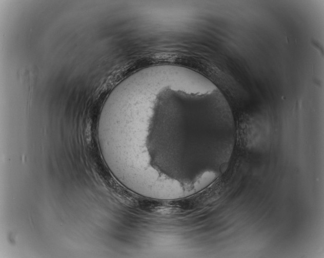 X0000101670504200807241443