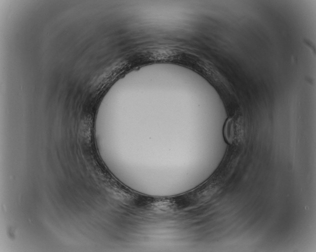 X0000101670505200807241443