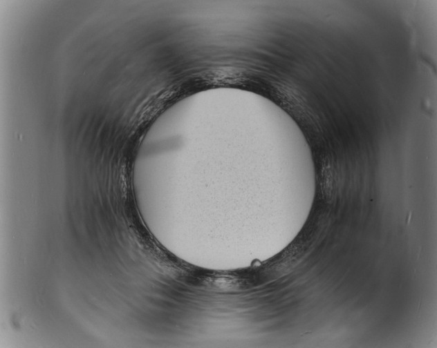 X0000101670506200807241443