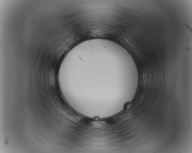X0000101670508200807241443