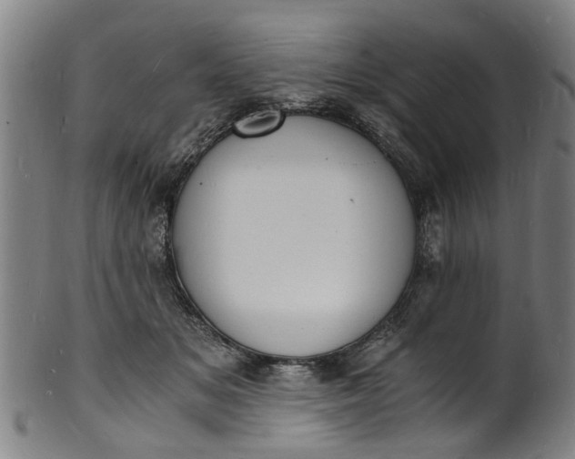 X0000101670509200807241443
