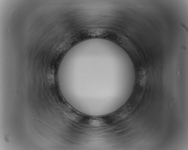 X0000101670510200807241443