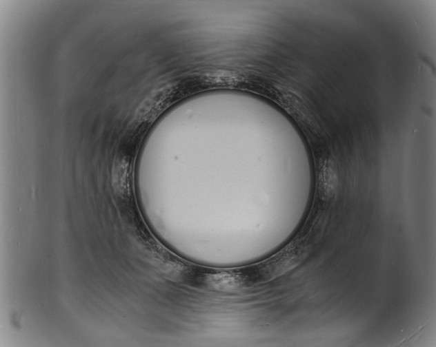 X0000101670511200807241443