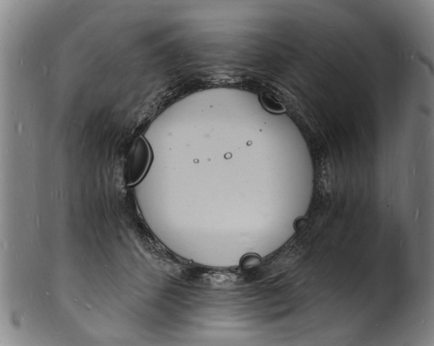 X0000101670512200807241443