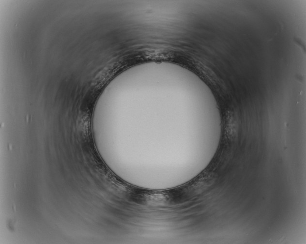 X0000101670513200807241443