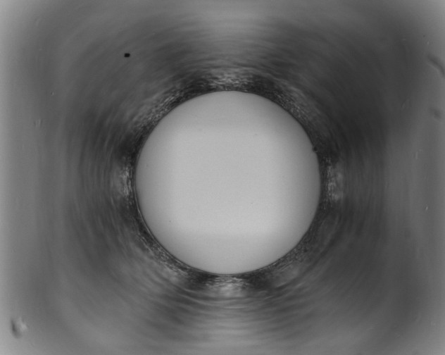 X0000101670514200807241443