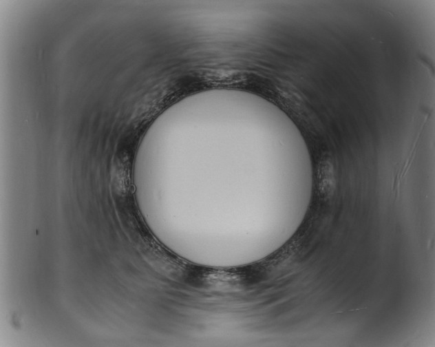 X0000101670515200807241443