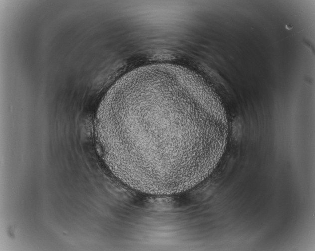 X0000101670517200807241443
