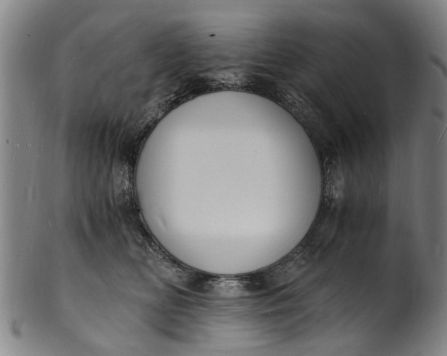 X0000101670518200807241443