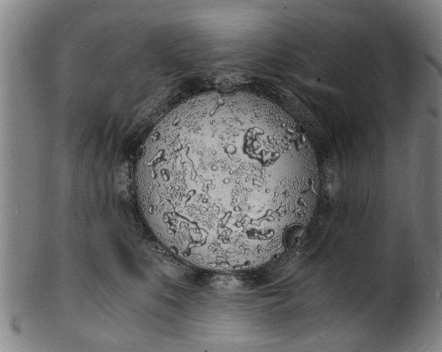 X0000101670519200807241443