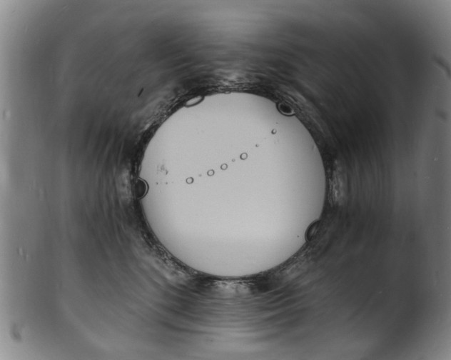 X0000101670520200807241443
