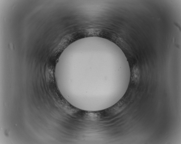 X0000101670522200807241443