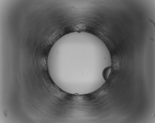 X0000101670523200807241443